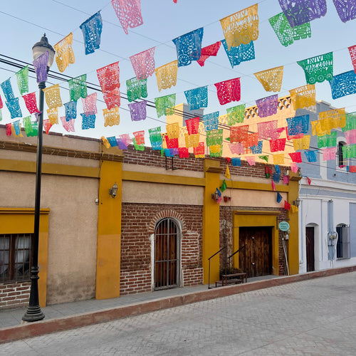 Travel With the Twins to Todos Santos, Mexico