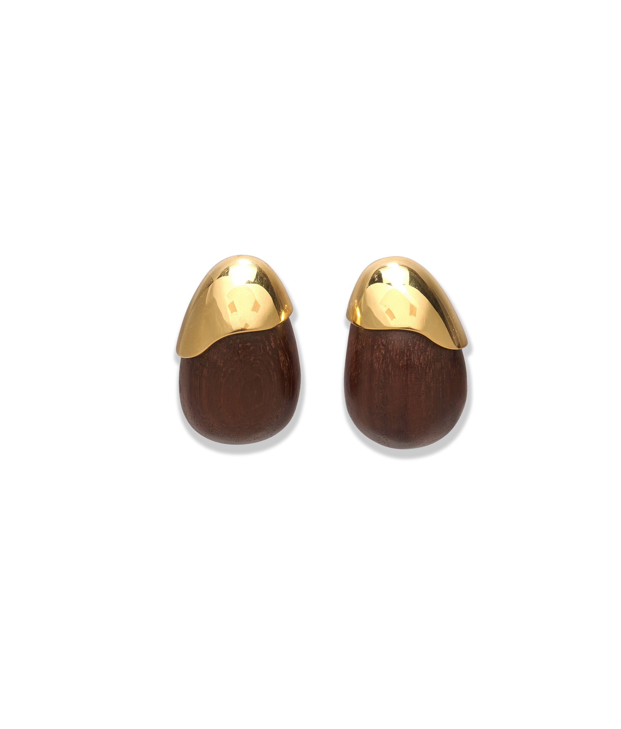 Toro Earrings