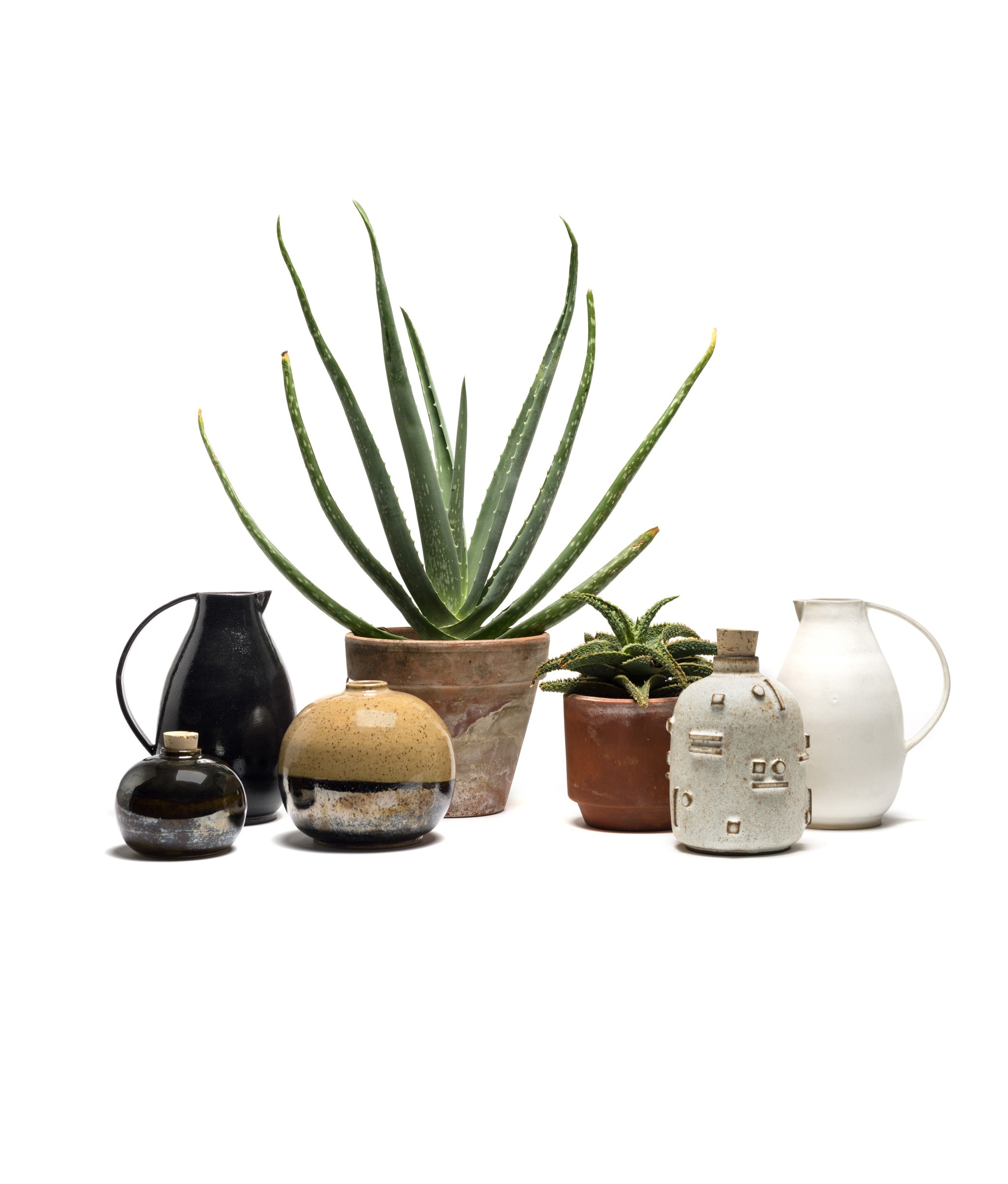 Grouping of Mini Orb Vase with other stoneware vessels, pitchers, and pots with aloe plants.