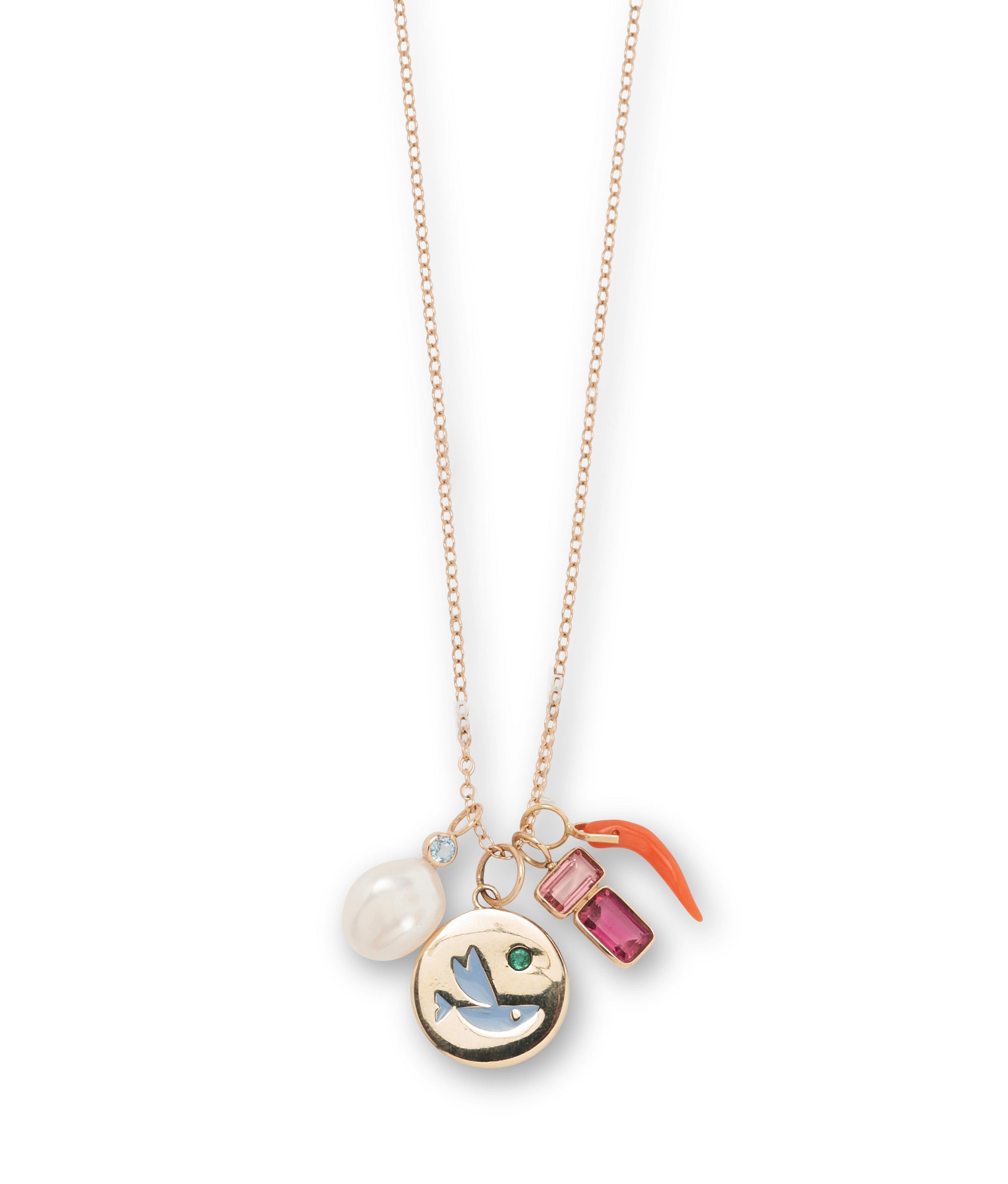 Close-up of delicate chain necklace with assorted charms and Coral Horn Necklace Charm.
