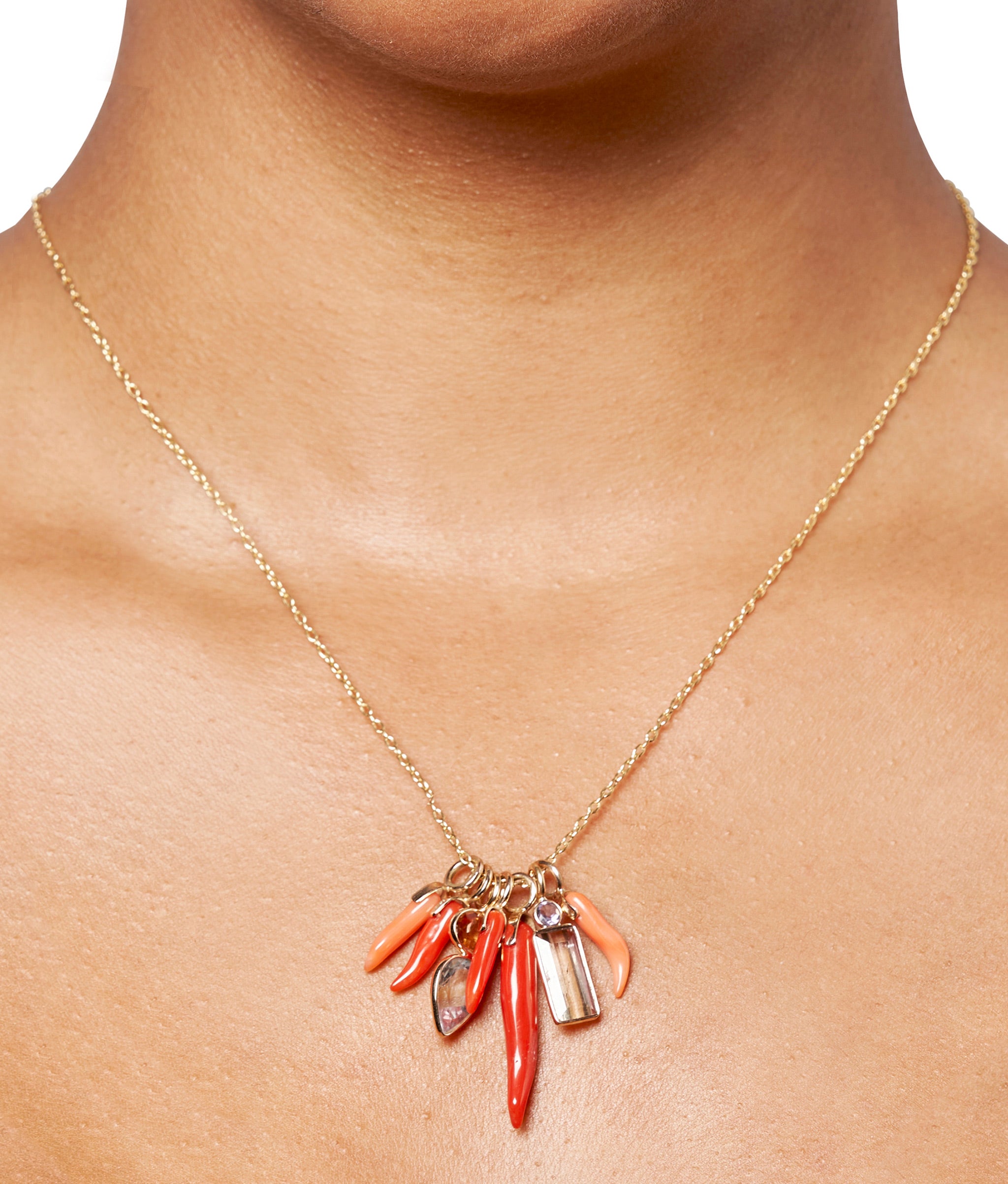Close-up of model wearing gold chain with Exclusive Fine charms, including Dark Red Coral Horn 14K Necklace Charm.