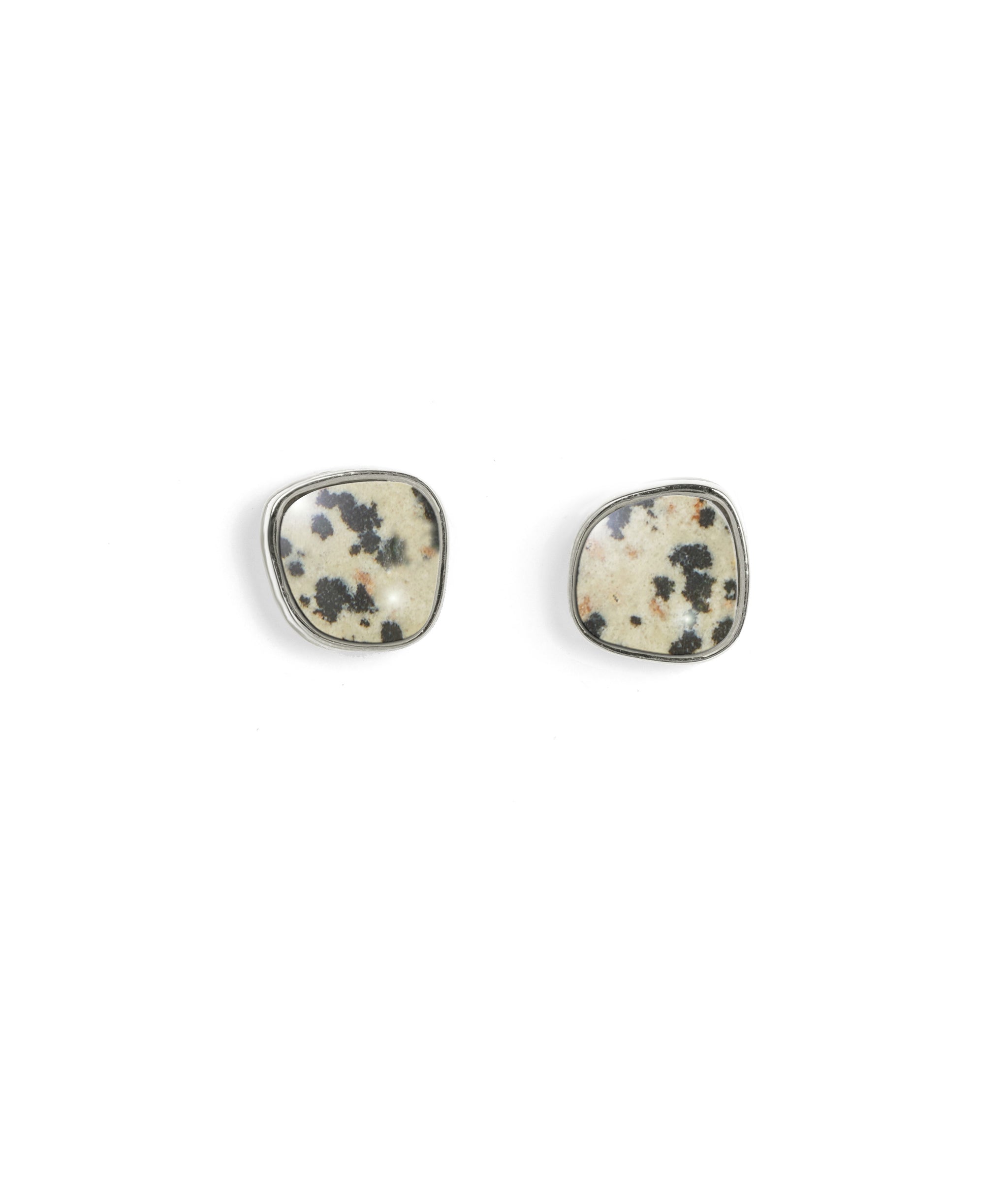 Bay Studs in Dalmatian