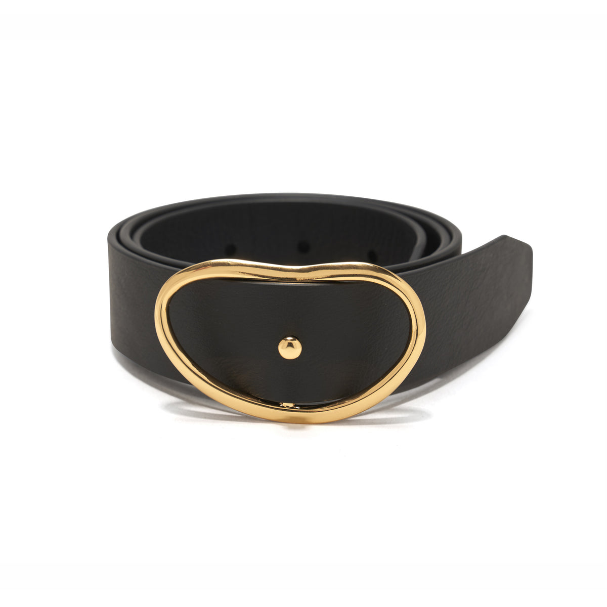 LIZZIE FORTUNATO Black Belt with CLEAR Resin Buckle Estelle Belt in Silver main image 3