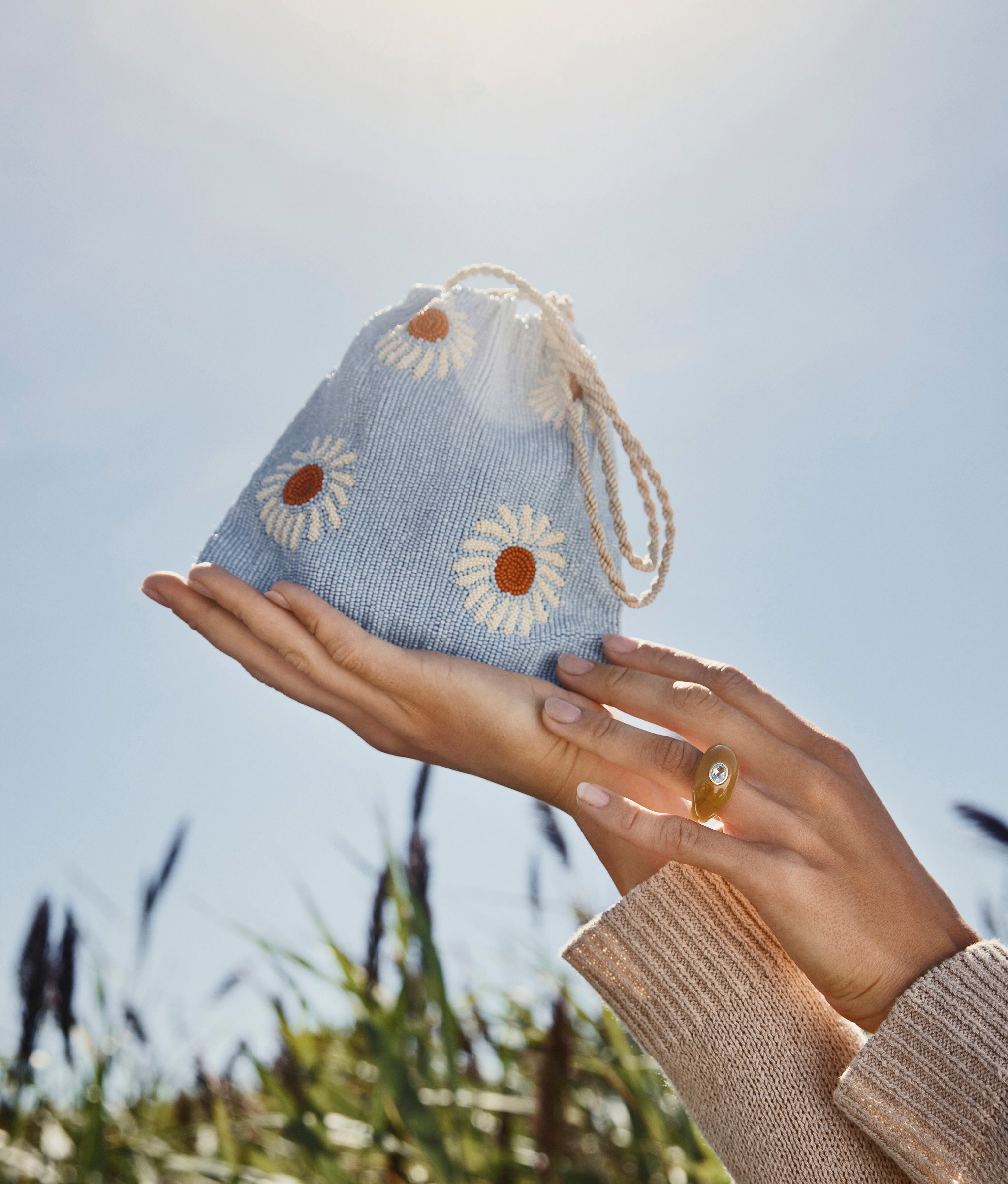 Model's hands hold up Gala Bag in Blue Daisy, with grass and blue sky in background.